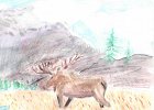 moose