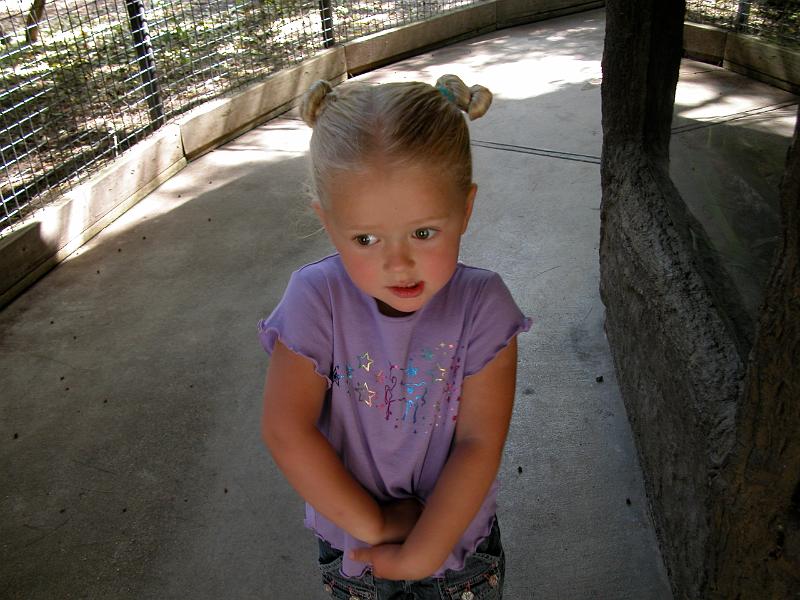dscn1620.jpg