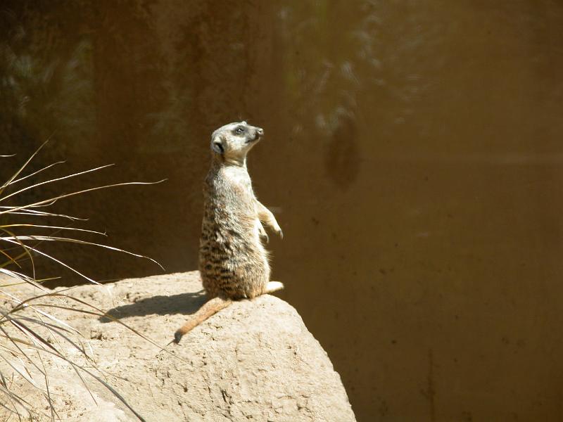 dscn1623.jpg