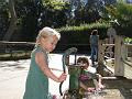 img_3755