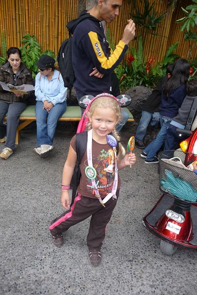 p1010571.jpg